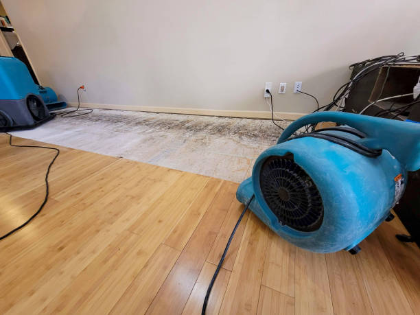 Professional Ceiling Water Damage Repair technician working in Suisun City, CA